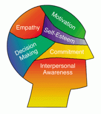 emotional-intelligence[1]